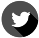Twitter Logo 