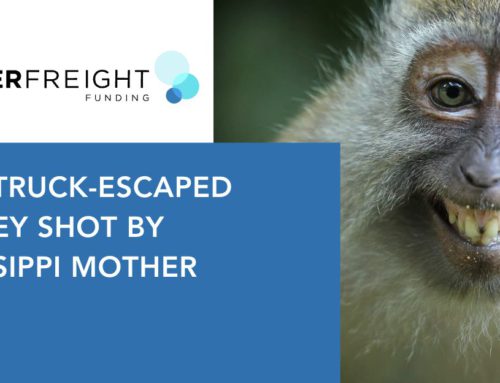 Final Truck-Escaped Monkey Shot By Mississippi Mother